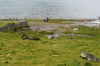 
DSC00139